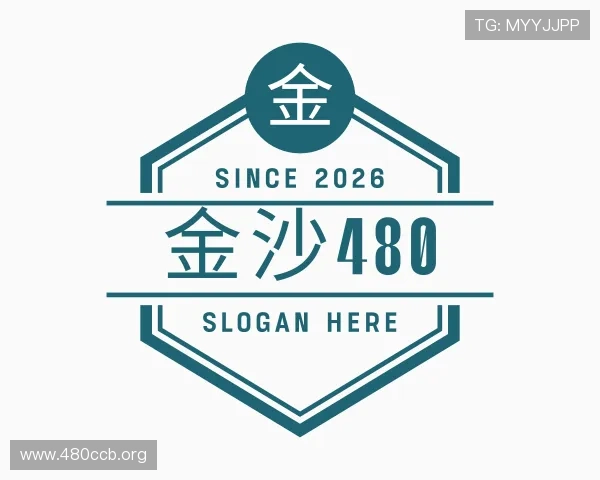 概述金沙480